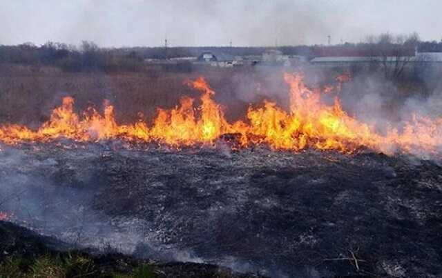 В Херсонской области горит село